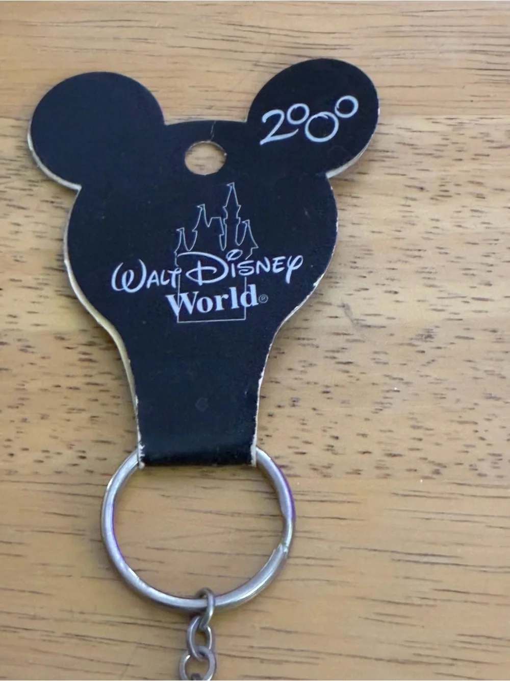 Walt Disney World “ Celebrate the Future Hand in Hand Keychain